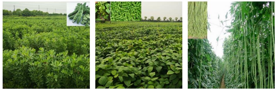 1-2204231K13XL.jpg 1-2204231K13XL.jpg